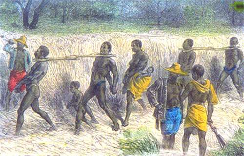 Fig 19a.jpg (35708 bytes)